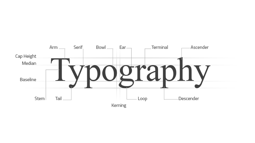 definition of script typeface